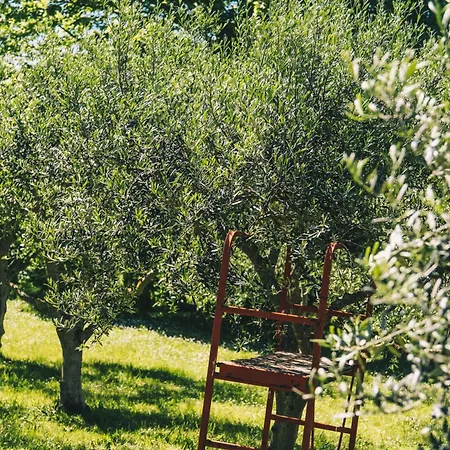 B&B Cuq En Terrasses 4*