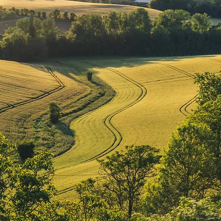 住宿加早餐酒店 Cuq En Terrasses 4*
